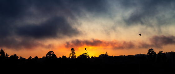 Obraz na płótnie Canvas Sunset Panorama Beautiful Palm Trees