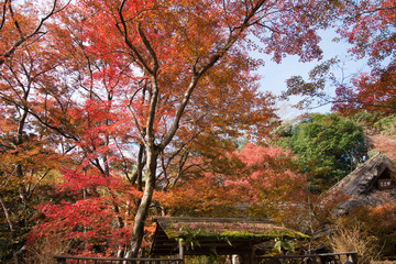 宝厳院