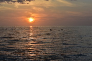 Obraz premium sunset at the sea