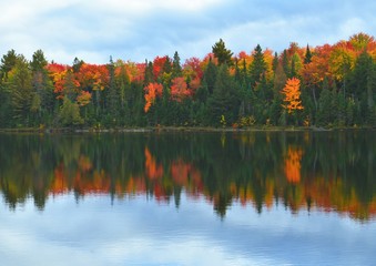 Colorful fall foliage with reflection in lake.