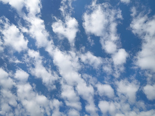 東京の青空と雲