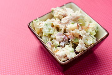 Salad dish with chicken apples nuts and cranberries in a small decorative side dish