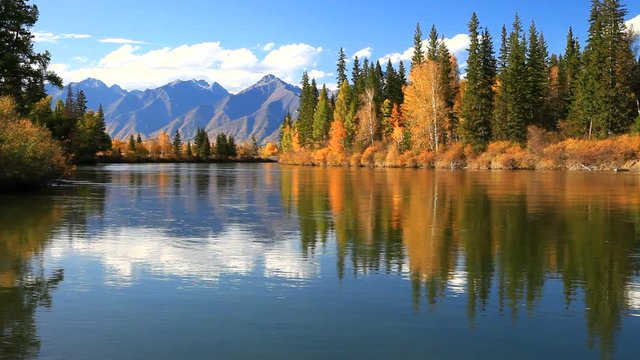 Yellow leaves float in blue water of calm river with a reflection of an yellowed forest. The mountain range of the Eastern Sayan in the distance. Beautiful autumn Siberian landscape