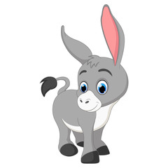 Adorable donkey isolated on white background