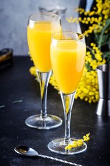 Mimosa alcohol cocktail with orange juice and cold dry champagne or sparkling wine in glasses, gray bar counter background with yelow flowers, copy space, selective focus