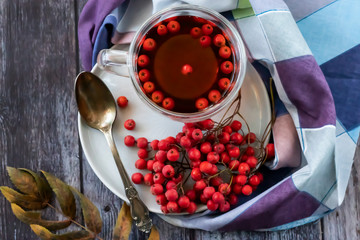 Hot healing tea, mountain ash tea. Applied with a lack of vitamins, anemia, metabolic disorders. Reduces the level of harmful cholesterol in the blood, strengthens blood vessels. 