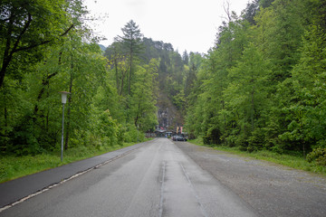 Fototapeta premium Asphalt road among fresh green forest in rural area of Switzerland for background and copy space