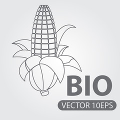 Ear of corn black and white outline drawing