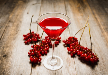 Viburnum martini cocktail with autumn setting on the rustic background. Selective focus. Shallow depth of field.