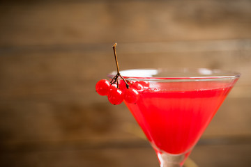 Viburnum martini cocktail with autumn setting on the rustic background. Selective focus. Shallow depth of field.