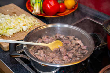 game goulash in pot with stirring spoon , onion and vegetables