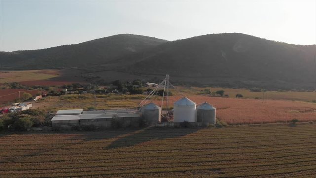 Campo de trigo