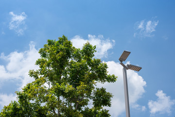 Electric poles and green trees have a blue sky backdrop
