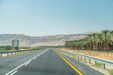 Fototapeta na wymiar View of Empty Road With Dates Farm on the Right side in Israel Dead Dead Area