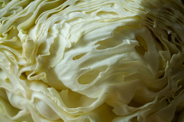 Sectional view of cabbage head. Cabbage on the table, macro shot. Culinary vegetable background.