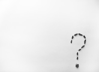White background with a question mark made of branches in the corner. Question figure on a white background with blank space.