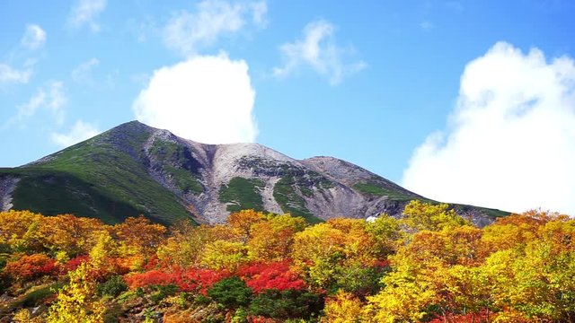 信州の紅葉　乗鞍岳　乗鞍エコーライン	