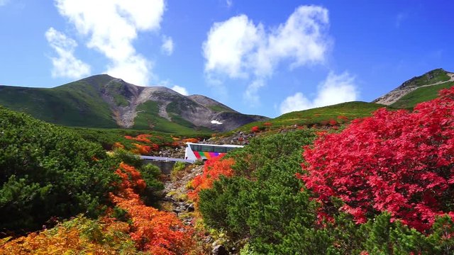 信州の紅葉　乗鞍岳　乗鞍エコーライン	