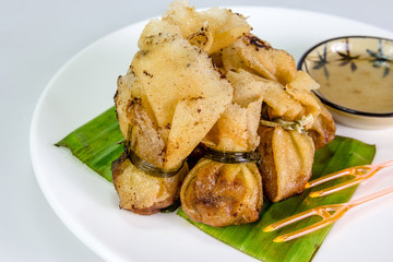 closeup fried wonton or Toong Tong