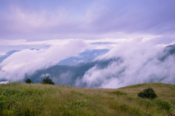 Nature landscape at the location Kio Mae Pan nature trail , Doi Inthanon national park Chom Thong District, Chiang Mai Province North of Thailand