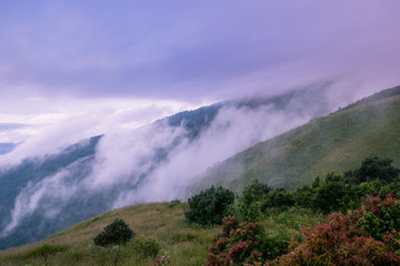 Nature landscape at the location Kio Mae Pan nature trail , Doi Inthanon national park Chom Thong District, Chiang Mai Province North of Thailand