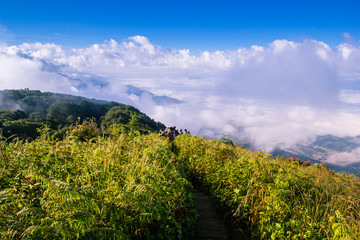 Nature landscape at the location Kio Mae Pan nature trail , Doi Inthanon national park Chom Thong District, Chiang Mai Province North of Thailand