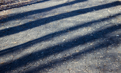 Shadows of trees on a pedestrian road.