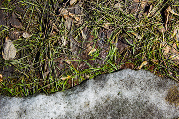 Background with earth and dirty snow. Springtime in the city.