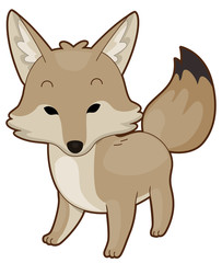Animal Desert Coyote Illustration