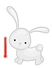 Rabbit Warm Blooded Animal Illustration
