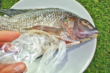 Plastic bag and straws in the belly of the fish, Concept No Plastic Zero Waste plastic .