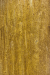 Fototapeta premium Golden wood background texture