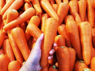 Many carrots are on sale in the supermarket.