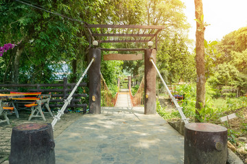 Suspension bridge, rope bridge in forest