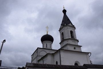 autumn forest on a cloudy day