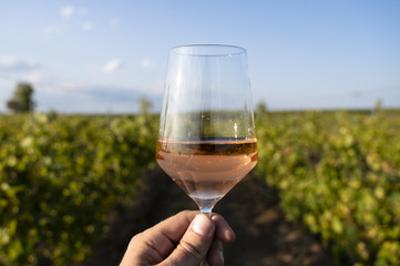hand holding a glass of rose wine in front of vineyard