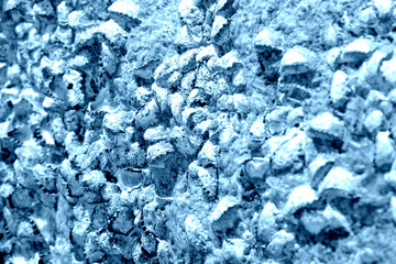 Seaside stone with seashells close-up. Natural background blue color toned
