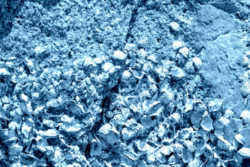 Seaside stone with seashells close-up. Natural background blue color toned