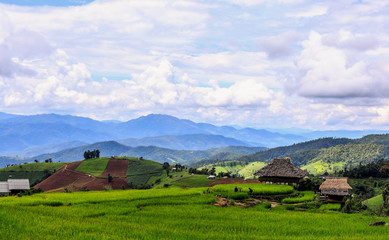 Fototapeta premium The hut in the fields At the village of Pa Pong Piang in the rainy season