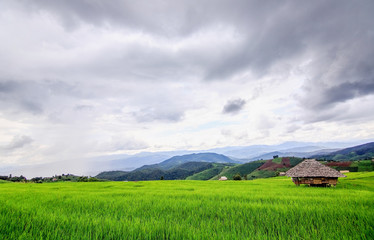Obraz premium The hut in the fields At the village of Pa Pong Piang in the rainy season