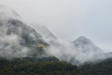 Misty Mountains by the sea