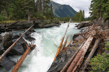 Kootenay National Park, British Columbia, Canada