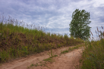 road in the field - 295439921