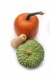 Pumkins and squash of different types: Butternut , Marina di chioggia, Halloween pumkin. Cucurbita maxima