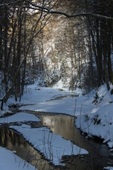 Fototapeta na wymiar Bach im Winter