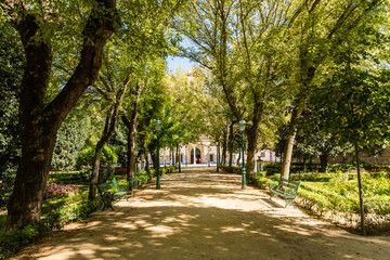 Fototapeta na wymiar Public park in Talavera called Alameda Park in Talavera de la Reina, Toledo, Spain
