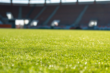 Wet grass at the football stadium