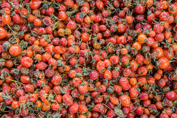 Berries in a supermarket - dried dogrose.