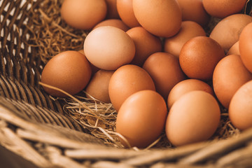 Closeup fresh eggs in wicker basket - fruit rural market