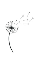 faded dandelion with flying seeds. eps10 vector illustration. hand drawing